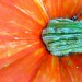 Ein Traum