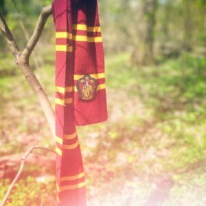 Memorys of Gryffindor