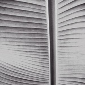 Bananenblatt