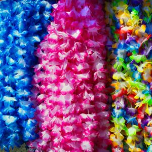 Colors