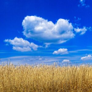 Sommer