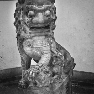 Foo Dog
