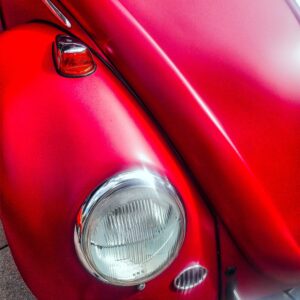 Beetle